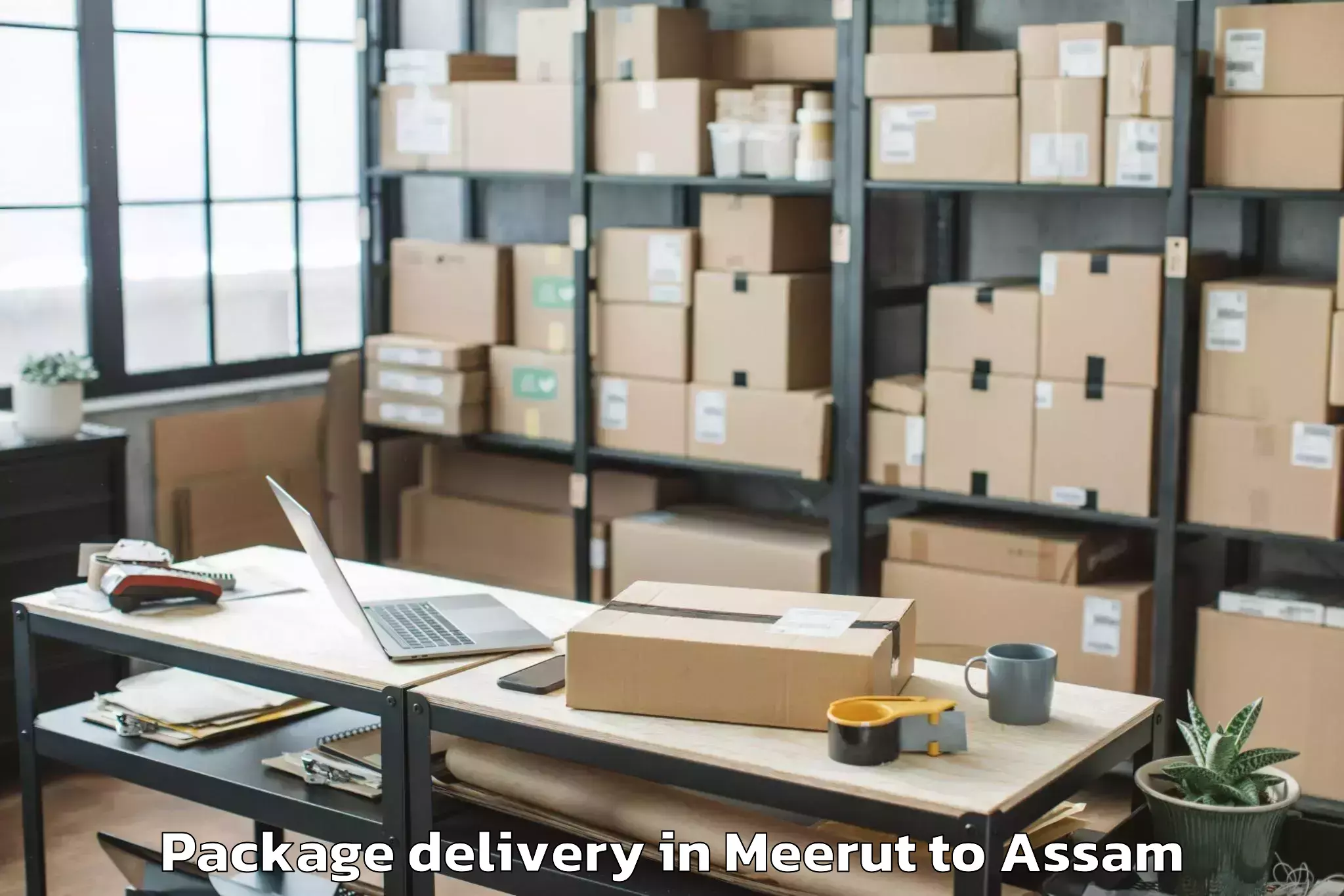 Trusted Meerut to Iiit Guwahati Package Delivery